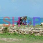 Fort Cannon