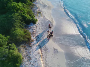 Horse Back Riding Runaway Beach