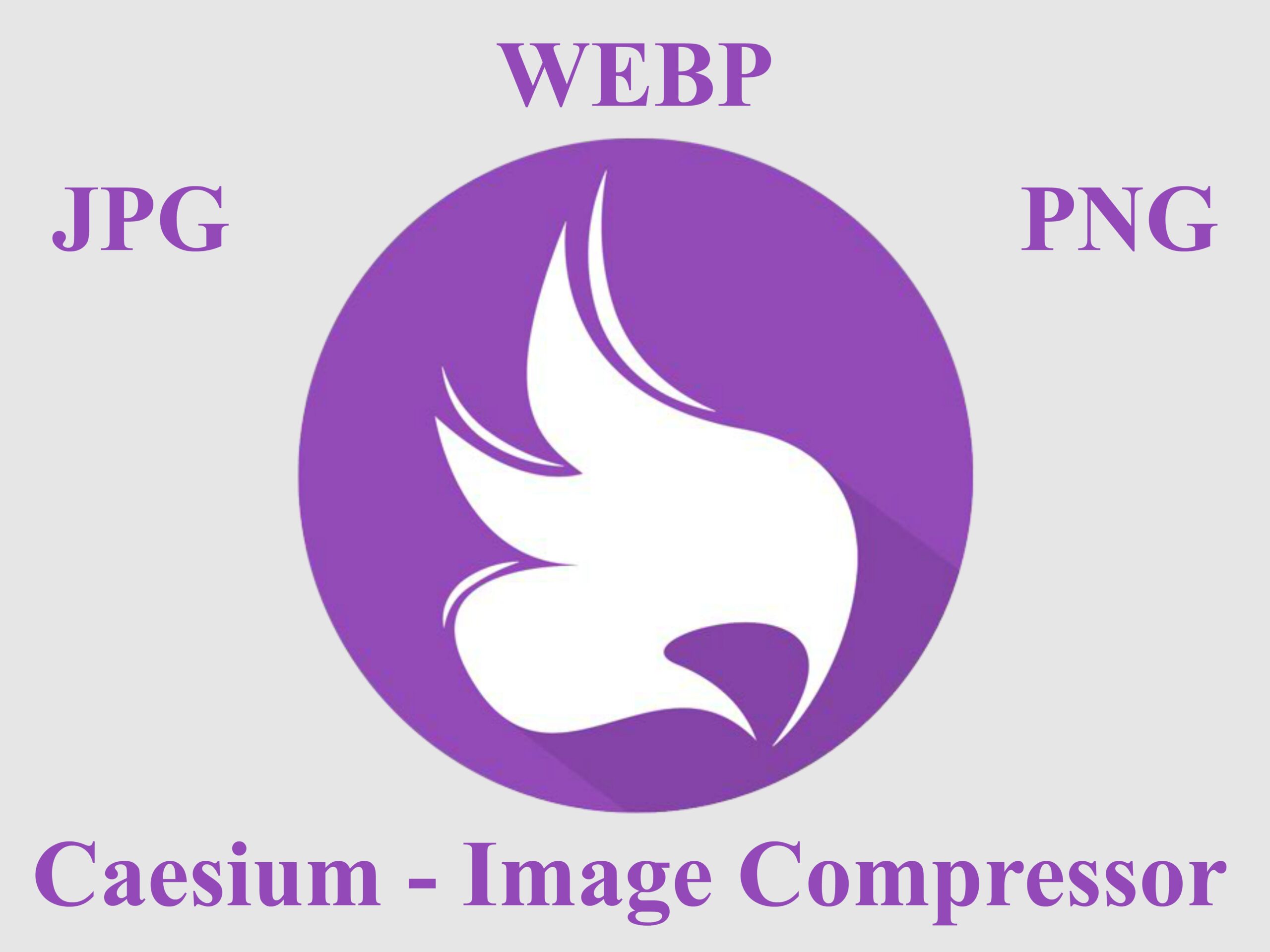 Caesium To Compress Images