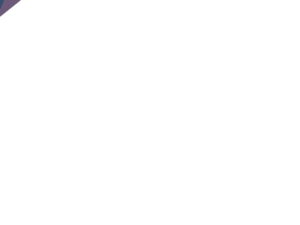 Border Templates Overlay