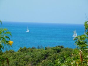 Pearns Point Beach