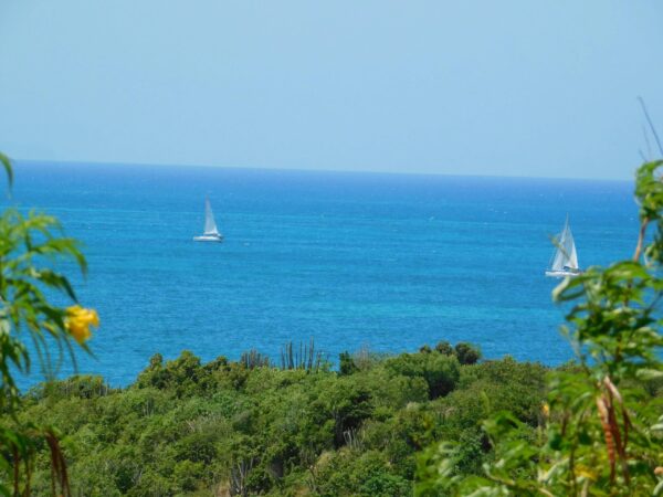 Pearns Point Beach