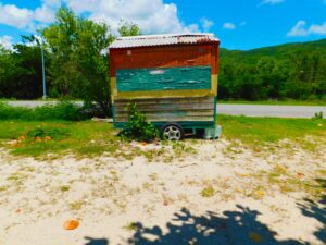 Beach Snorkel Shack