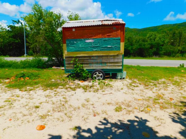 Beach Snorkel Shack