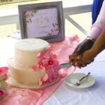 Wedding Cake Cutting Stock Photo