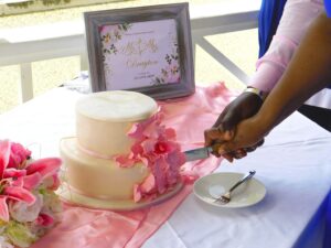 Wedding Cake Cutting Stock Photo